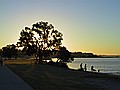 One of many good dog-walking beaches.