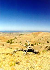 Dry 'n' Sandy South Australia